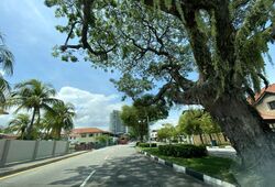 Frankel Estate (D15), Detached #491699611